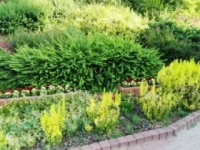 ukwiecenie miasta 10