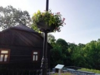 ukwiecenie miasta 11