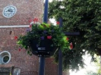 ukwiecenie miasta 14