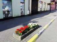 ukwiecenie miasta 19