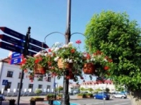 ukwiecenie miasta 22