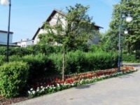 ukwiecenie miasta 23