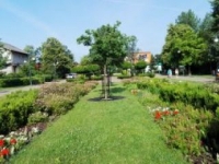 ukwiecenie miasta 24