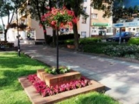 ukwiecenie miasta 25
