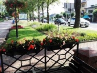 ukwiecenie miasta 27