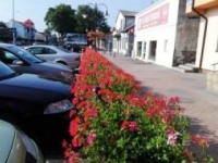 ukwiecenie miasta 28