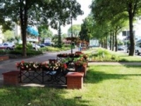 ukwiecenie miasta 30