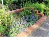 ukwiecenie miasta 31