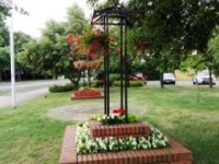 ukwiecenie miasta 37