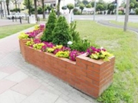 ukwiecenie miasta 38