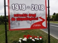 ukwiecenie miasta 40