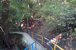 nowe schody w jarach