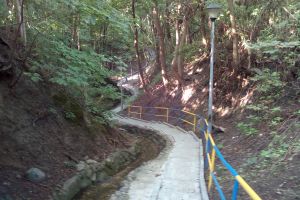 nowe schody w jarach