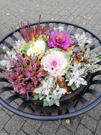 jesienne ukwiecenie miasta