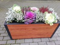 jesienne ukwiecenie miasta