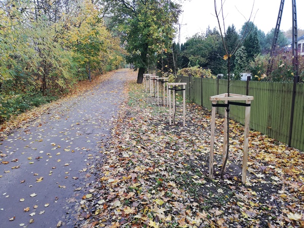 Jesień w zieleni miejskiej