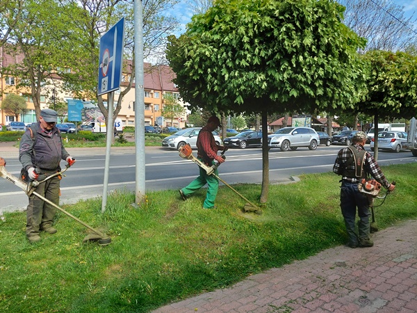 Koszenie terenów zielonych