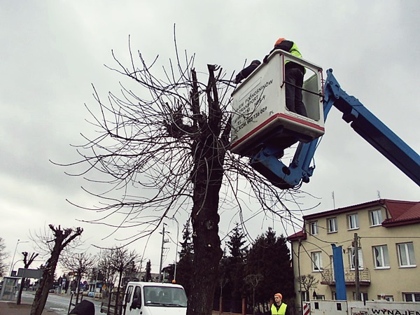 Prace pielęgnacyjne i wycinkowe