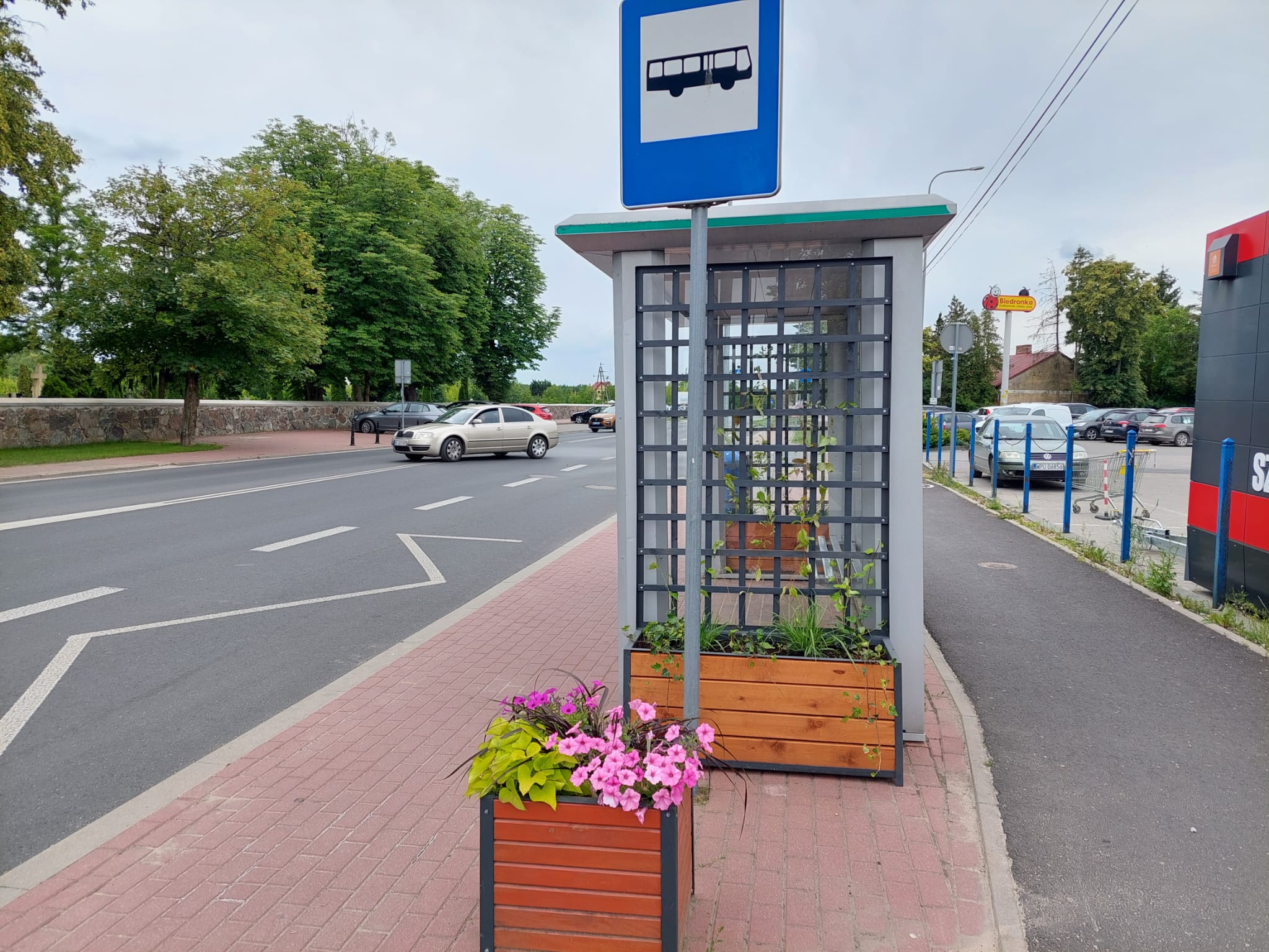 Zielone przystanki w centrum miasta